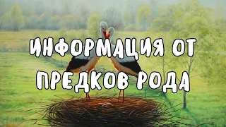 ☀️ПРЕДКИ РОДА🌳ВЫШЛИ ПОДСВЕТИТЬ ВАМ ВАШ ПУТЬ☝️🕊️