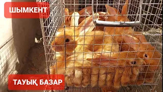 ТАУЫҚ БАЗАР ШЫМКЕНТ 2-ШІЛДЕ