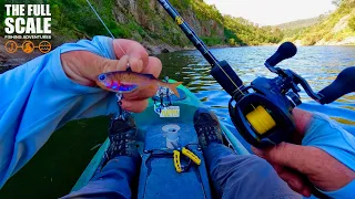 Bass Fishing Adventure Vlog | The Full Scale