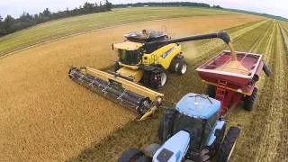 Rice harvest in Randolph County Arkansas 2014