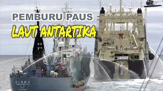 PEMBURU PAUS LAUT ANTARTIKA