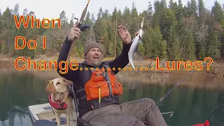 How Often Should You Change Lures When Trout Trolling?