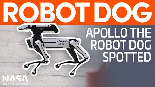 Apollo the Robot Dog Spotted at Starbase | SpaceX Boca Chica