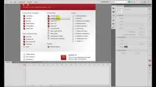 How to change the mouse cursor in Flash CS5