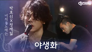 [DJ티비씨] 박효신, 정재일 - 야생화 ♬ #너의노래는 #DJ티비씨