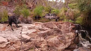 Creek Waterfalls and Rock Pools