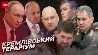 🤔 Путін не контролює власну систему! Пригожин, Суровікін, Герасимов, Шойгу, Кадиров | Олег Жданов