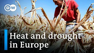 Drought: What's the link between water scarcity and global heating? | DW News