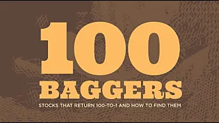 100 Baggers: Stocks That Return 100 To 1 And How To Find Them by Chris Mayer Audiobook: Part 1!