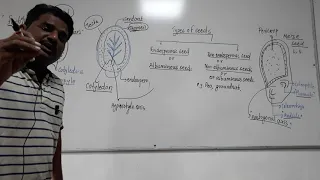 Sexual reproduction in   flowering plants part -26||S.B.PATIL