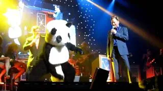 Conan O'Brien and the masturbating bear aka Pleasuring Panda