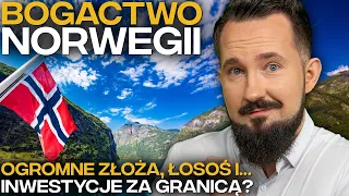 Dlaczego NORWEGIA jest BOGATA? Złoża, Podatki i Socjal #BizON