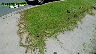 $30? ...DEAL! (Oddly Satisfying Lawn Care)