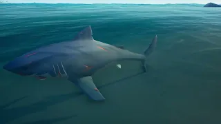 Land Shark | Sea of Thieves