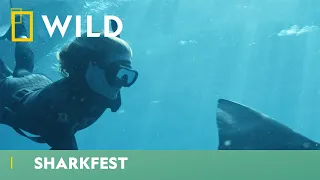 Swimming With The Sharks | Sharkfest | National Geographic WILD UK