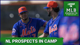 National League Prospects in Camp - Which Mets arms have a shot to start? | MLB Prospects Podcast