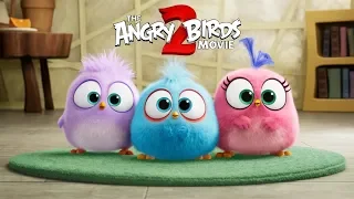 THE ANGRY BIRDS MOVIE 2 - Happy Father’s Day from the Hatchlings!