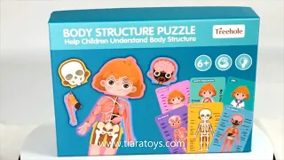 Body Structure Puzzle