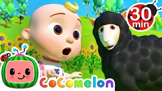 [ 30 MIN LOOP ] Baa Baa Black Sheep🐏 | Learn & Sing Classics | CoComelon Nursery Rhymes & Kids Songs