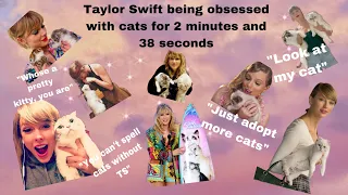 Taylor swift being obsessed with cats for 2 minutes and 38 seconds straight