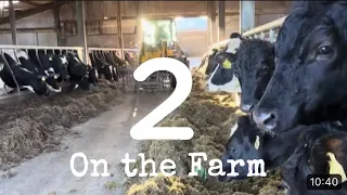 On the Farm - Week 2