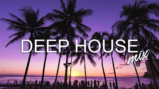 Avicii, Calvin Harris, Kygo, Alok, Robin Schulz, David Guetta, Gryffin - Summer Vibes Mix #397