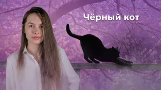 Чёрный кот - музыка Юрия Саульского, стихи Михаила Танича