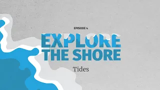 Tides - how they work and when to explore the shore!
