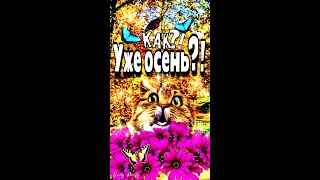 🍁🌞💗Счатливой осени!🍁🌞💗Доброго утра благословенного дня!🙏Красивое музыкальное пожелание доброй осени🍁