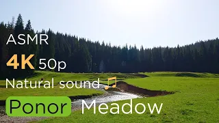 Meditative Meadow and Babbling Brook ASMR - Relaxation and Serenity in Nature