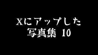 Xにアップした写真集 10