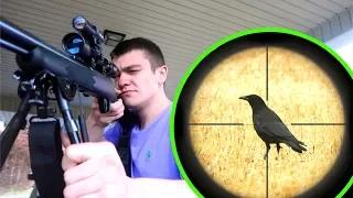 I Hunted Crows with 22lr! (Scope Cam)