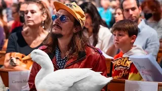 I took my duck to Church