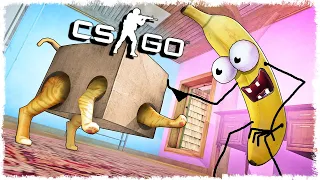 ТРОЛЛЬ БАНАН vs КОТ МАНЬЯК В CS:GO!!!