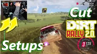 Citroën C3 R5 New Zealand Setups / Logitech G29 DiRT Rally 2.0