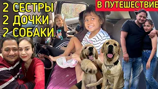 В путешествие с сестрой и её подругой. Первая поездка с 2мя собаками 🐶🐶кто больше всего устал 😥🤣