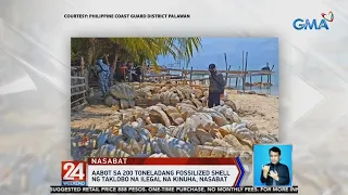 4 suspects nabbed in Palawan for selling 200 tons of giant clams worth P1.2B | 24 Oras Weekend