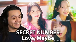 [MV] SECRET NUMBER(시크릿넘버) _ Love, Maybe(사랑인가 봐) (사내맞선 OST Part.5) (Special Clip Ver.) | REACTION