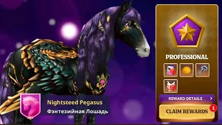 Открываем сундуки, обсуждаем новинки и баги в Horse Riding Tales & Star Equestrian