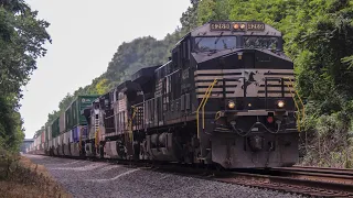 NS 20R at Towners woods, Ohio with a non horse head D9