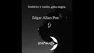 Stroma podcast E22 instinto vs razón (Edgar Allan Poe)