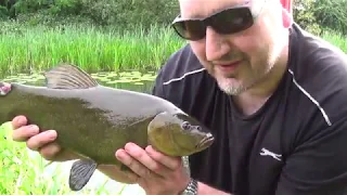 Float fishing for Tench 2019