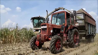 8x MTZ & Claas Jaguar & Rába & HTZ Silózás 2018