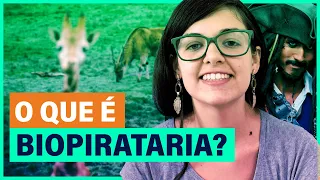 O que é BIOPIRATARIA? Como ameaça a BIODIVERSIDADE | Argumentos Redação | ENEM e vestibular