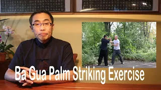 Basic Practice Teaching Series (20): Ba Gua Palm Striking Fa Jin