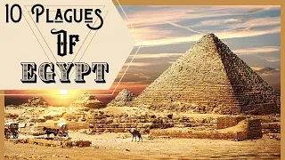 Sądny Dzień Egiptu - Czym były plagi egipskie?