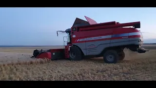 ПОСУХА,уборка оз.ячменя,а яка цiна за крохи врожаю?!22.06.22. MASSEY FERGUSON