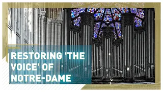 Restoring the voice of Notre-Dame
