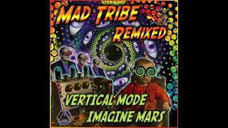 Mad Tribe - LSD Party (Vertical Mode Remix)