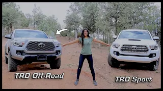 Why I Bought the TRD Off-Road over the TRD Sport | 3rd Gen Tacoma Battle